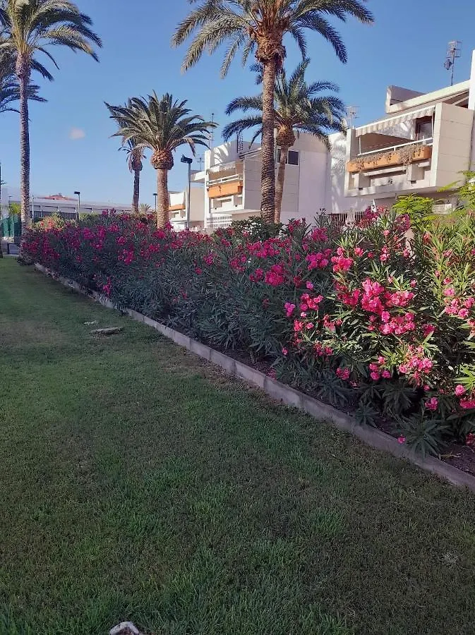 Primavera Apartment Olga With Free Wifi Arona
